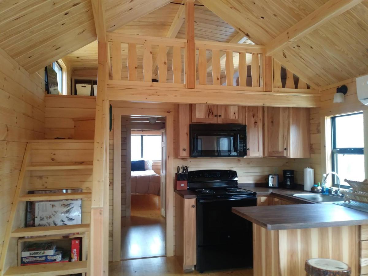 Two Rivers Cabins - The Mountaintop Brevard Exterior photo